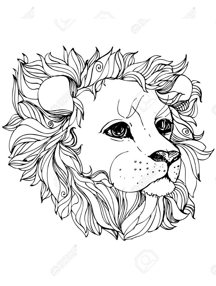 29+ Pelican Lion Coloring Page Free Pelican Lion Online Coloring Download