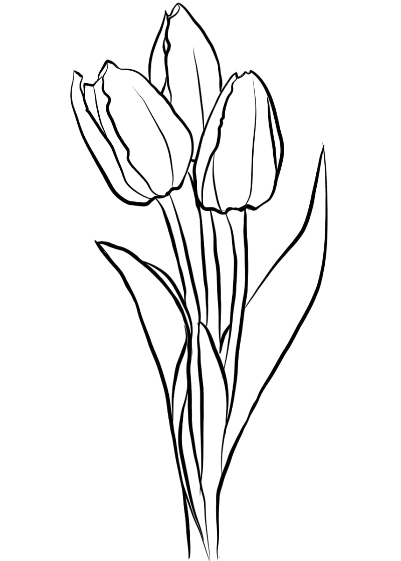 Top 20 Printable Tulips Coloring Pages - Online Coloring Pages