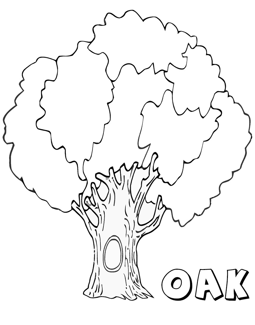 Top 16 Printable Oak Coloring Pages