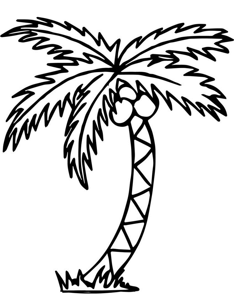 View Palm Tree Coloring Page Pictures