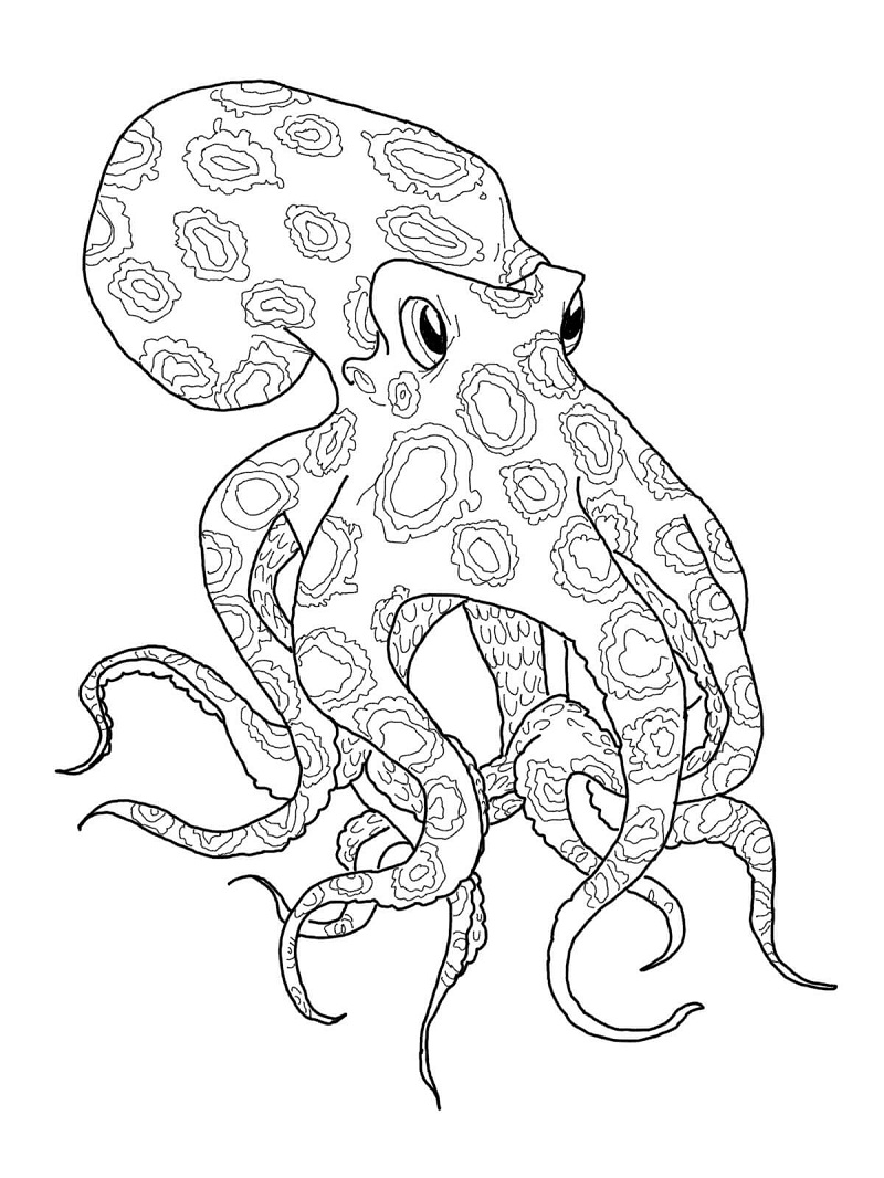 Top 20 Printable Mollusks Coloring Pages