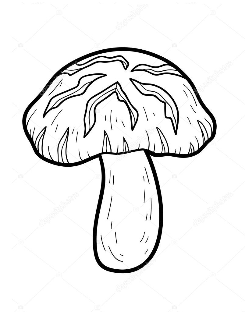 Top 20 Printable Mushroom Coloring Pages