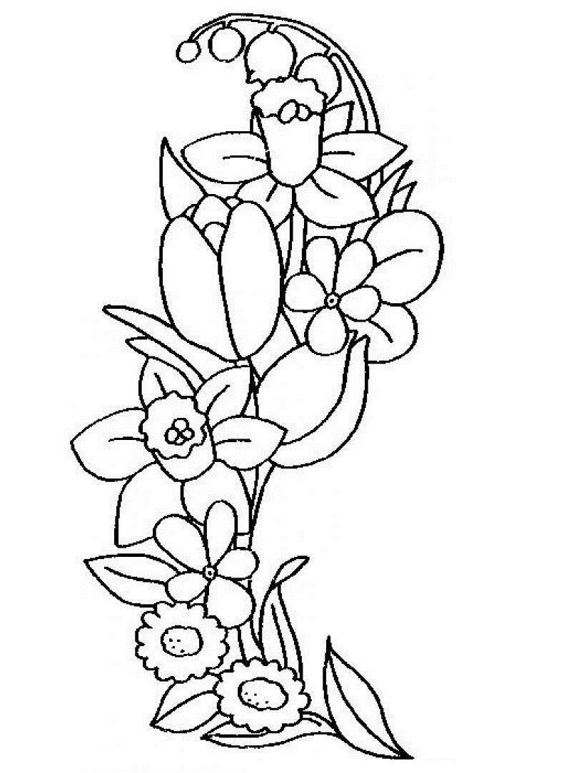 flori-narcise-desene-de-colorat-04 - Online Coloring Pages