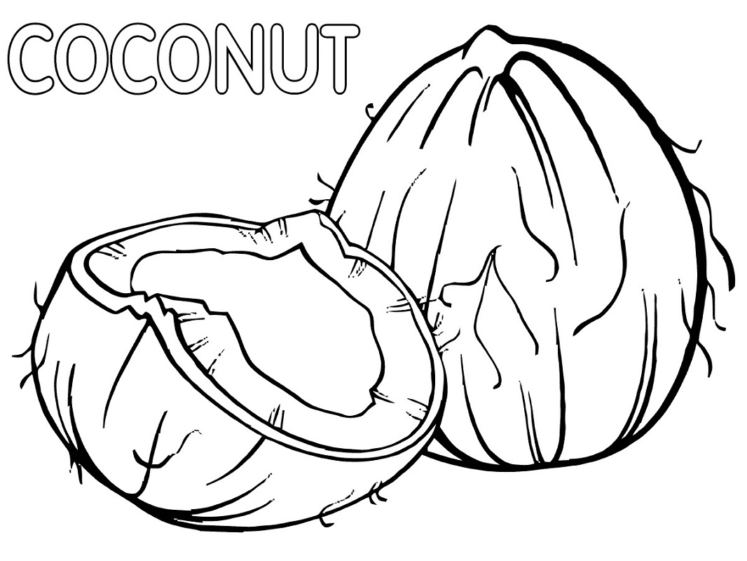 Top 20 Printable Coconut Coloring Pages - Online Coloring Pages