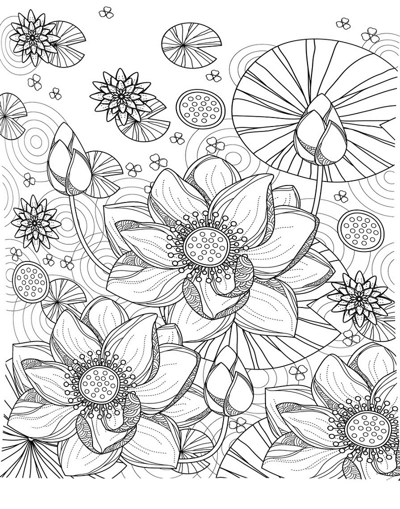 Download Top 20 Printable Water Lily Coloring Pages - Online Coloring Pages