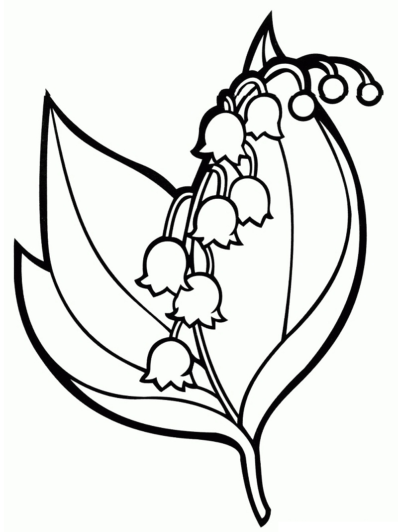 Top 20 Printable Bellflower Coloring Pages