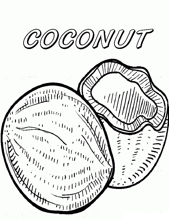 Top 20 Printable Coconut Coloring Pages
