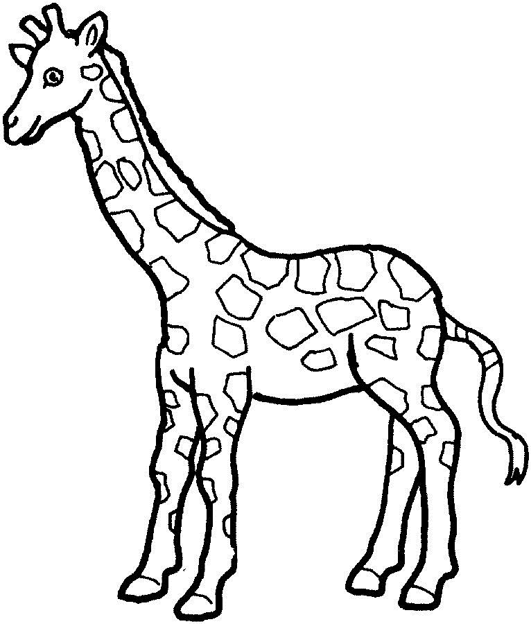 Top 20 Printable Giraffe Coloring Pages Online Coloring Pages