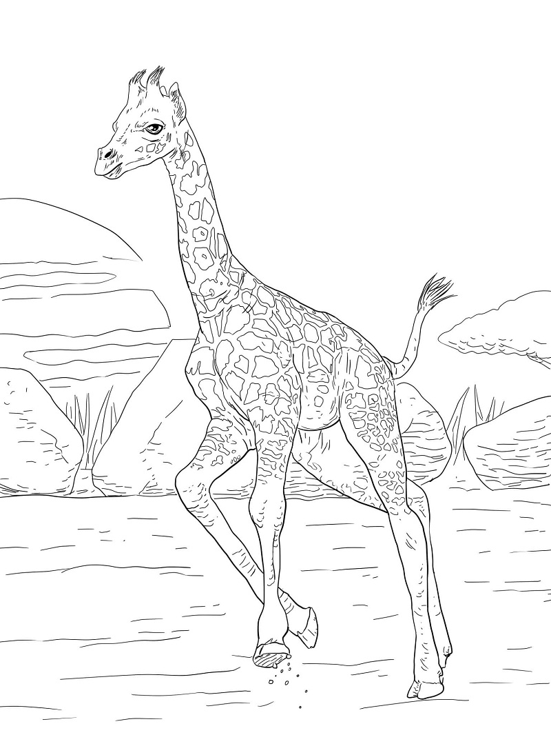 Christmas Giraffe Coloring Page - 316+ File Include SVG PNG EPS DXF