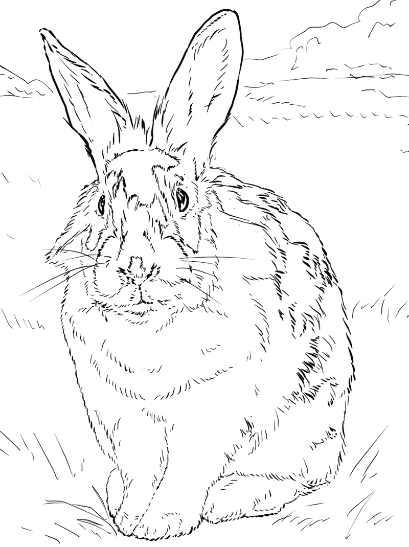 Top 20 Printable Rabbit Coloring Pages - Online Coloring Pages