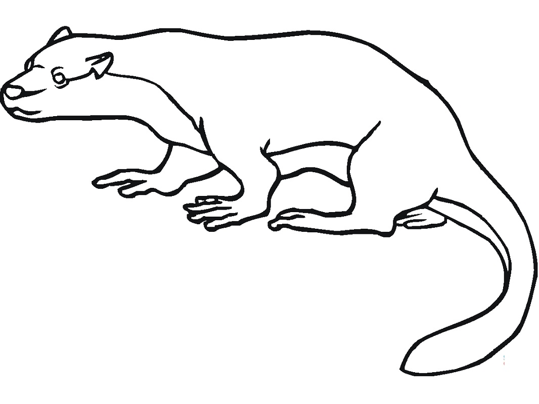 Top 20 Printable otter Coloring Pages - Online Coloring Pages