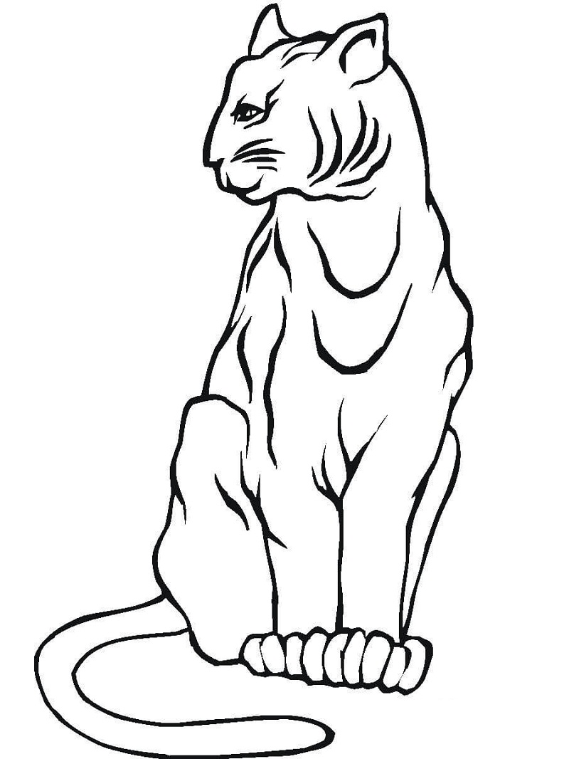 Top 20 Printable Cougar Coloring Pages Online Coloring Pages