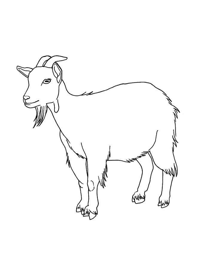 Top 20 Printable Goat Coloring Pages - Online Coloring Pages