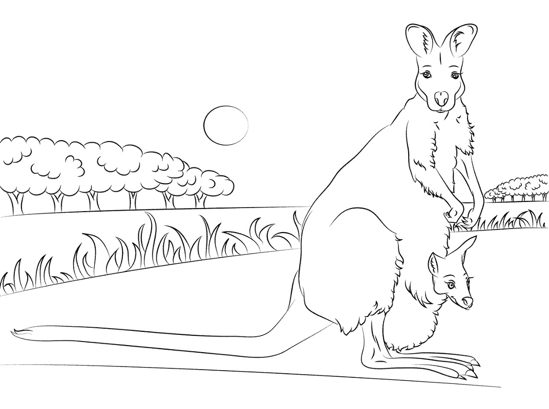 Top 20 Printable Kangaroo Coloring Pages - Online Coloring Pages