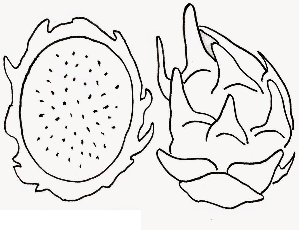 Top 20 Printable Dragon Fruit Coloring Pages - Online Coloring Pages