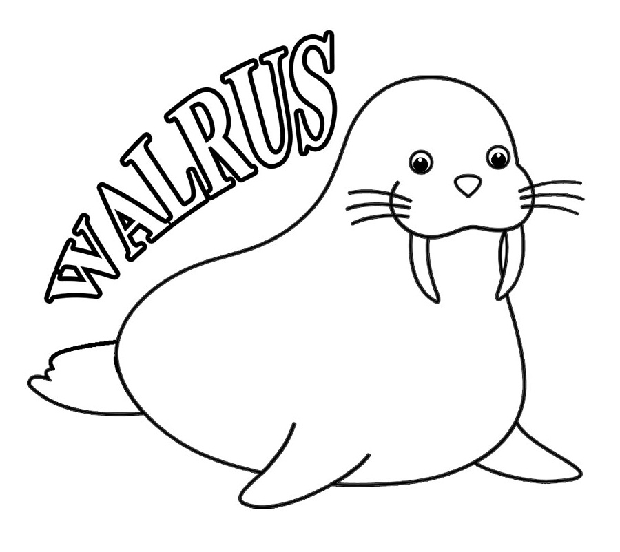 Top 20 Printable Walrus Coloring Pages - Online Coloring Pages