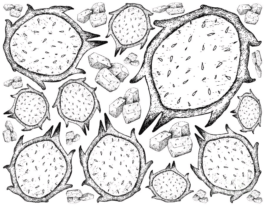 Top 20 Printable Dragon Fruit Coloring Pages - Online Coloring Pages