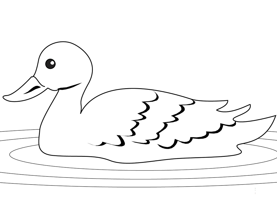 Top 20 Printable Duck Coloring Pages - Online Coloring Pages