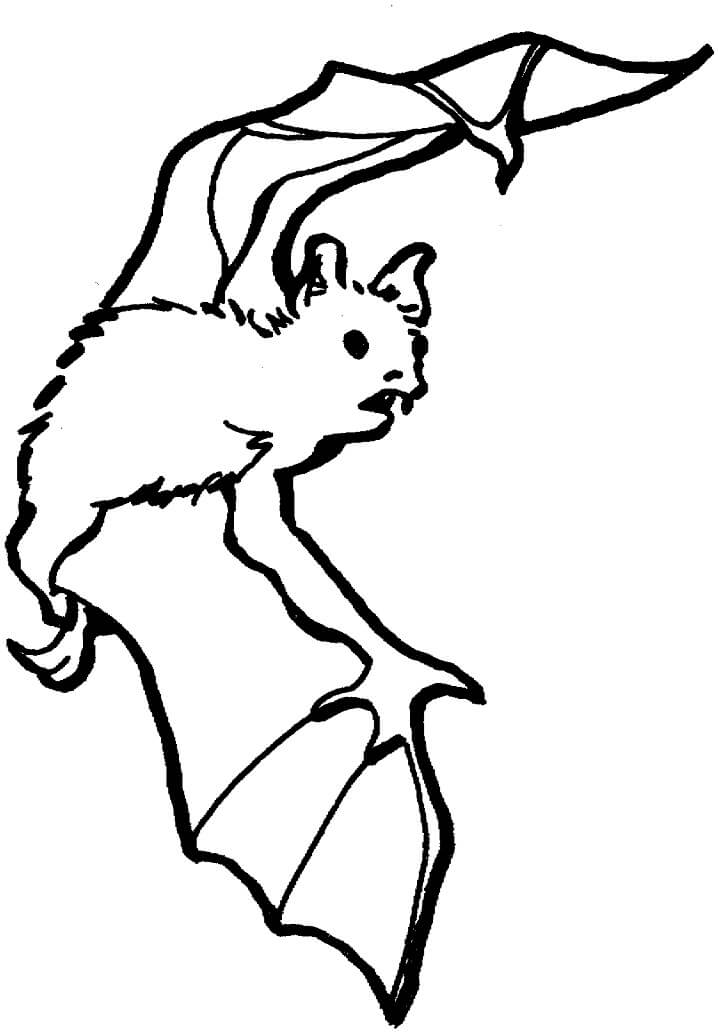 Top 20 Printable Bat Coloring Pages - Online Coloring Pages