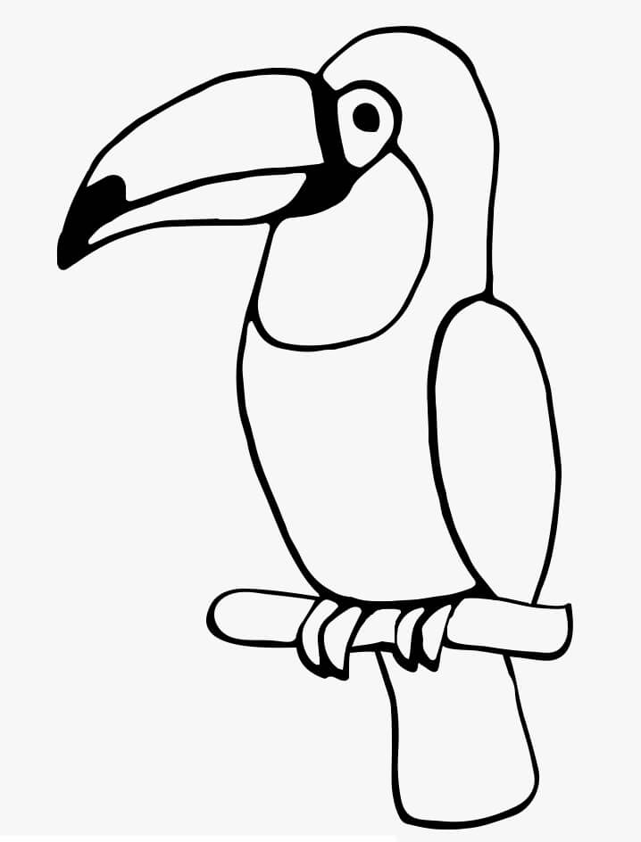 Top 21 Printable Toucan Coloring Pages