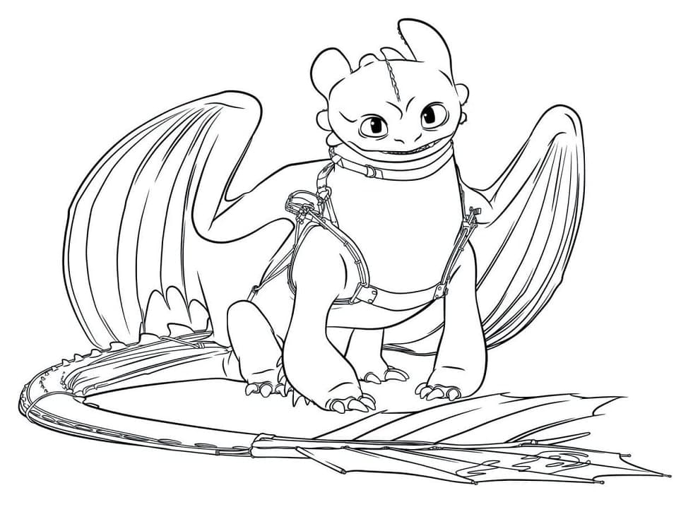 Toothless Coloring