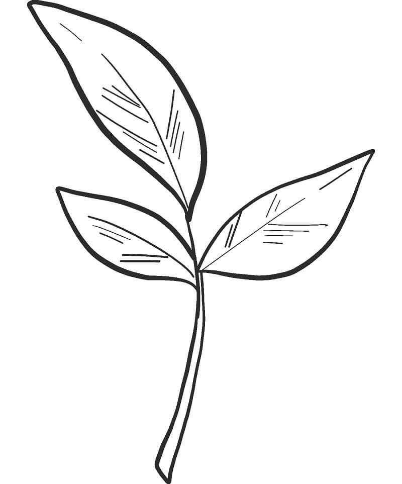 top-20-printable-fall-leaves-coloring-pages-online-coloring-pages