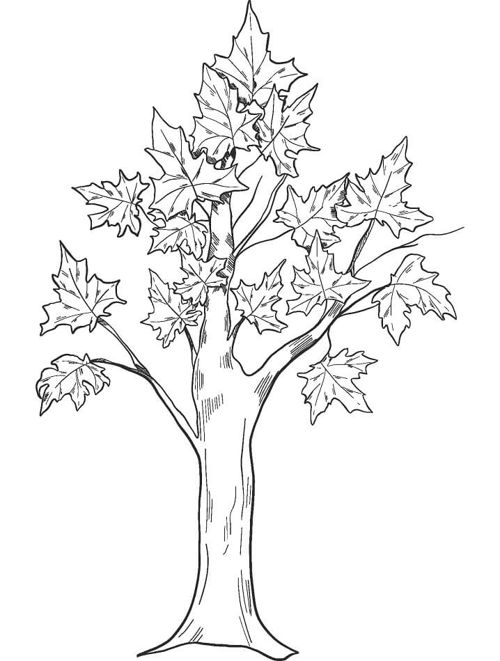 Top 52 Printable Fall Coloring Pages