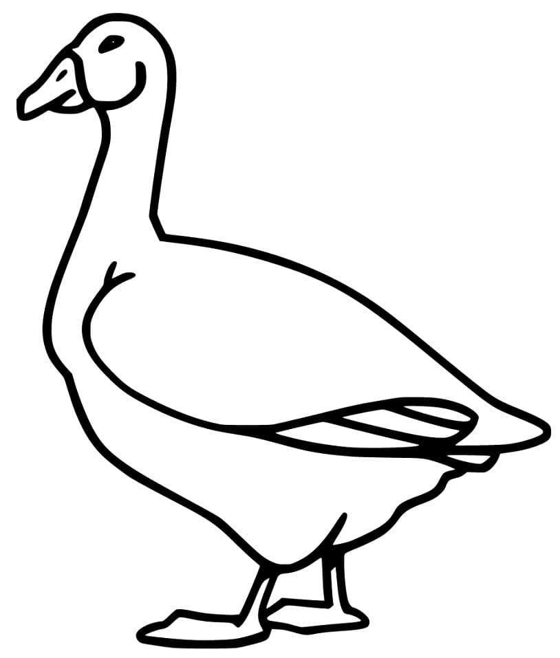 Top 48 Printable Goose Coloring Pages - Online Coloring Pages