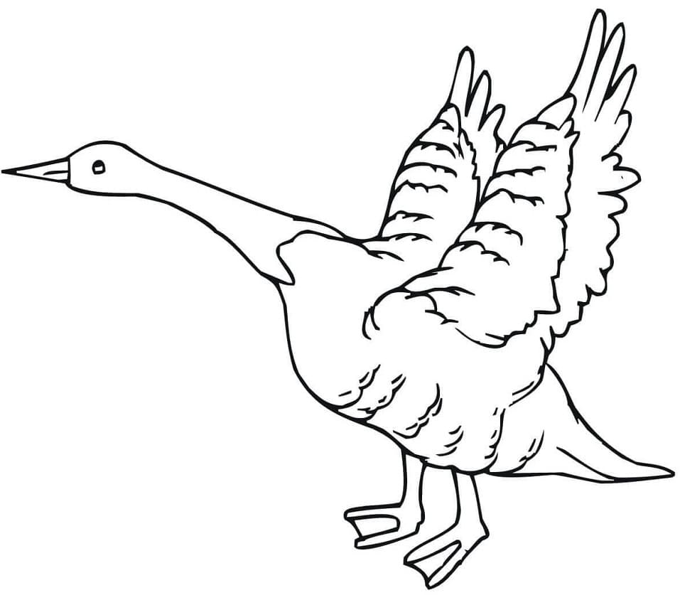 Top 48 Printable Goose Coloring Pages