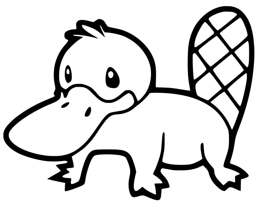 Top 32 Printable Platypus Coloring Pages