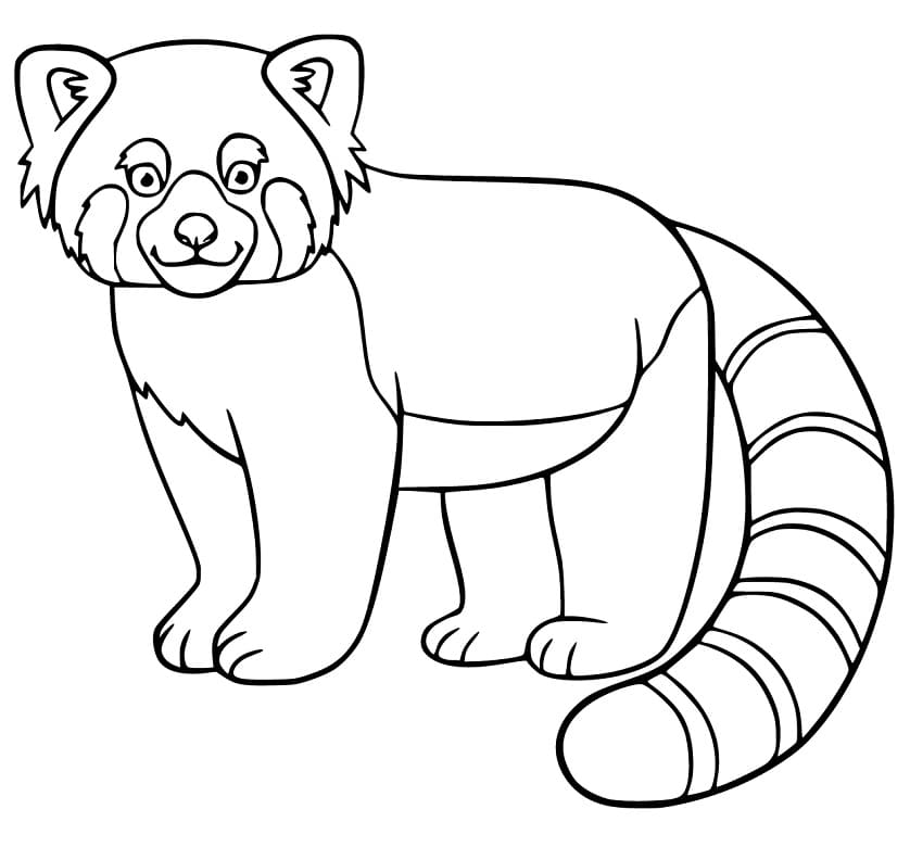 Top 38 Printable Red Panda Coloring Pages