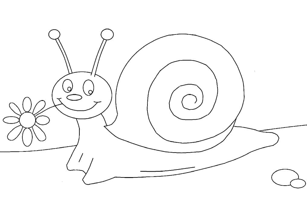 Top 48 Printable Snail Coloring Pages