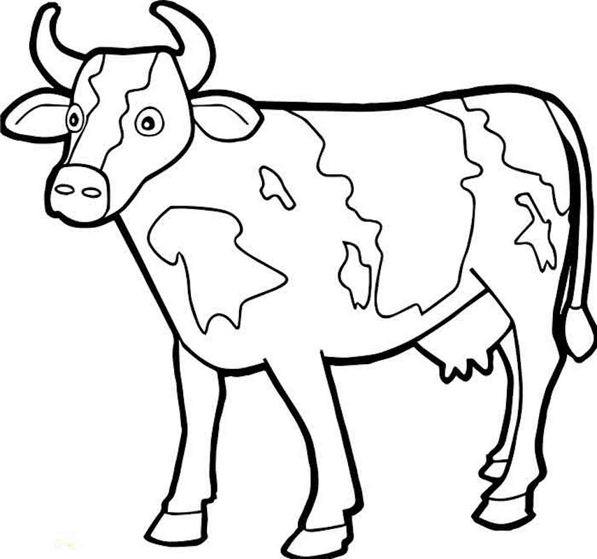 Top 60 Printable Cow Coloring Pages