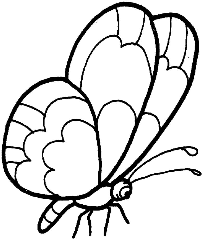 Top 88 Printable Butterfly Coloring Pages