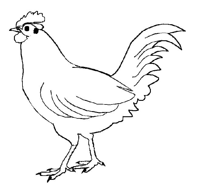 Top 60 Printable Chicken Coloring Pages