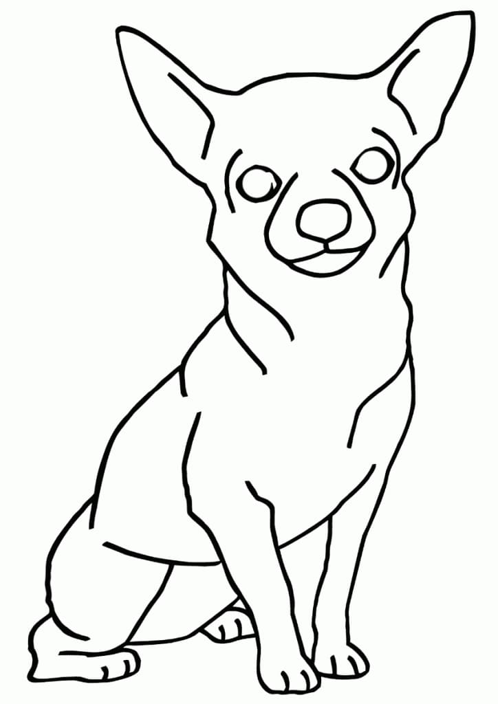 Top 32 Printable Chihuahua Coloring Pages