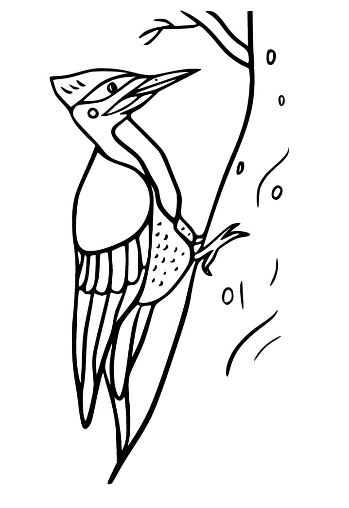 Top 52 Printable Woodpecker Coloring Pages