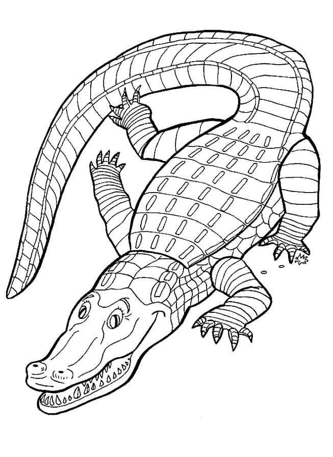 Top 45 Printable Alligator Coloring Pages