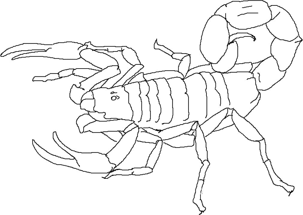 Top 37 Printable Scorpion Coloring Pages