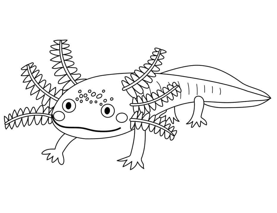 Top 20 Printable Axolotl Coloring Pages