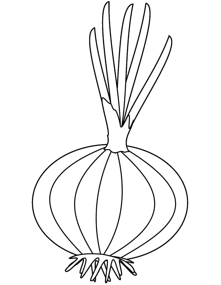 Top 30 Printable Onion Coloring Pages