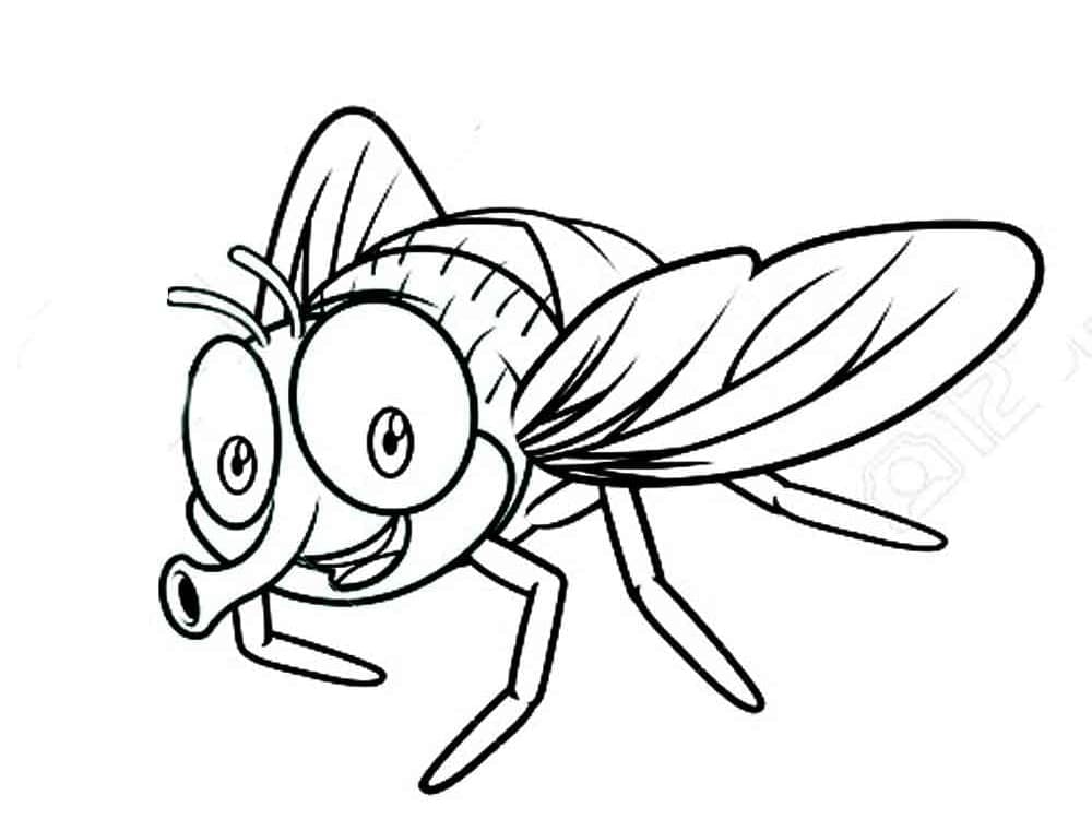 Top 32 Printable Fly Coloring Pages