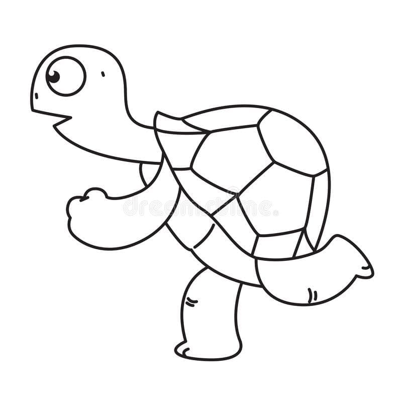 Top 46 Printable Turtle Coloring Pages