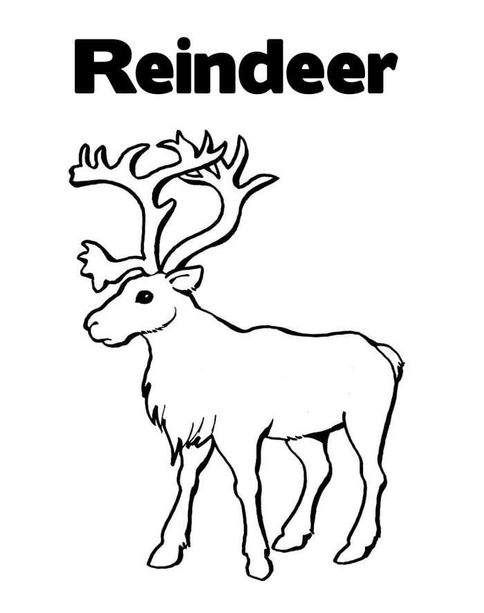 Top 44 Printable Reindeer Coloring Pages