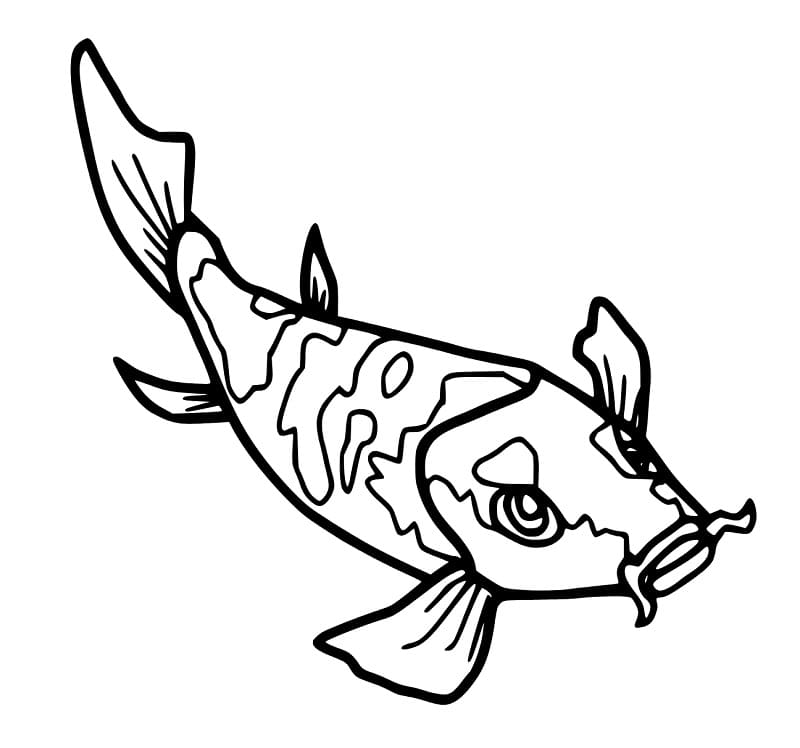 Top 30 Printable Koi Fish Coloring Pages