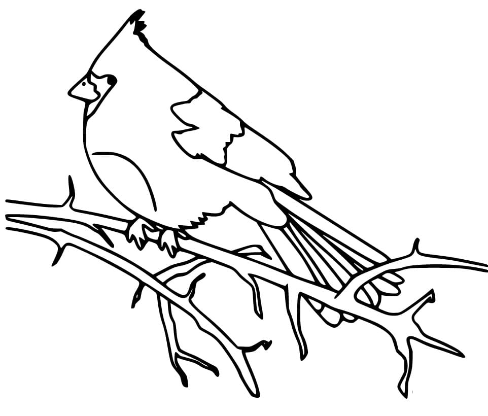 Top 37 Printable Cardinal Coloring Pages