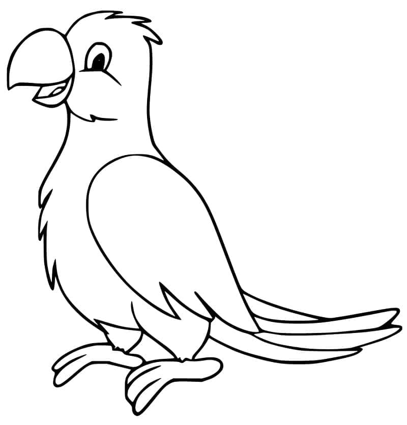 Top 32 Printable Cockatoo Coloring Pages